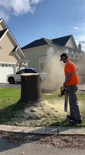 Shocking Moment: Tree Crashes onto House in Suburban Neighborhood 🌳🏠