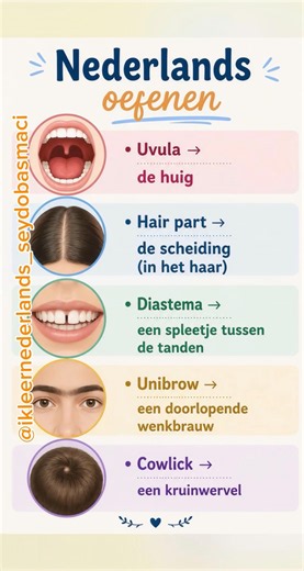 Nederlands oefenen