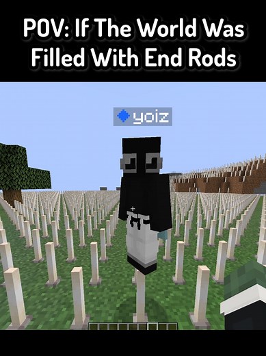 Minecraft POV: End Rods Take Over the World