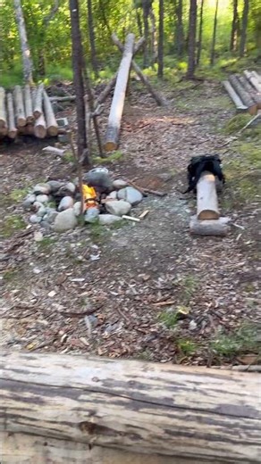 One log at a time, the dream is taking shape. 🌲