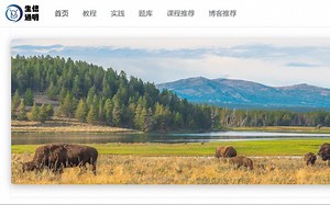 推荐一个非常好用的学习编程和生信的网站，自带实践环境，适合新手快速入门