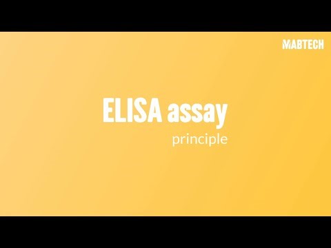 ELISA assay principle