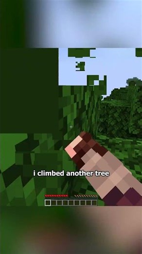 Speed running Random Block in Minecraft