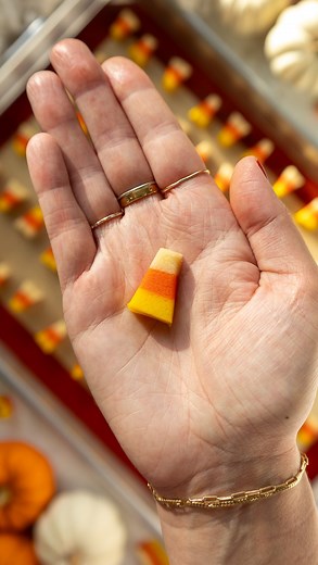 Candy Corn Cookies 🥹 They’re really just too cute!!! The recipe is linked in my bio or you can google chelsweets candy corn cookies 🧡 #candycorn #cookies | Chelsweets