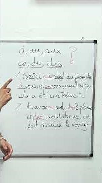 🇫🇷 Les articles CONTRACTÉS : test niveau A2