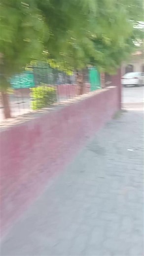 Sheikhupura City Tour: Hiram Minar & Batty Chowk Streets
