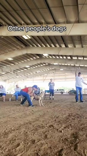 Working and Sport Dogs -VS- My Dog | K9s of Valor