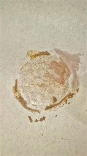 Banana Daddy rosin press quickie