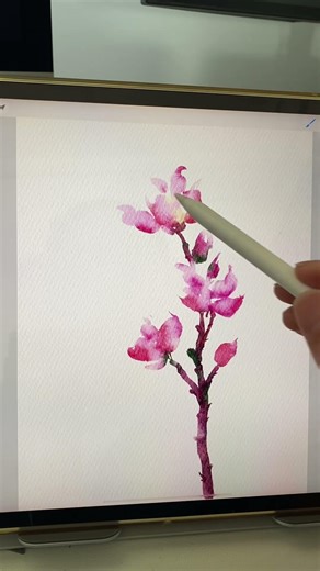 【iPad画画】Procreate iPad Drawing ✍️ WATERCOLOR FLOWER #art #flowers #painting