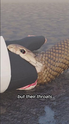 Some snakes die trying to eat their food 😳 #DidYouKnow #ZeusBLabs