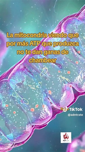 La Mitocondria: La Planta de Energía de Nuestras Células