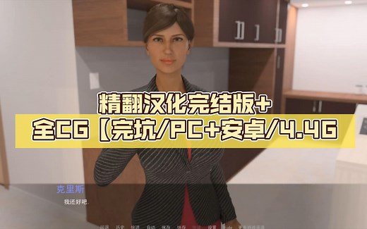 [日系] 【欧美SLG/汉化/动态CG】拜访：The Visit V1.2.5 精翻汉化完结版+全CG【完坑/PC+安卓/4.4G