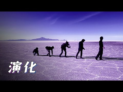 你相信进化论吗？为何智人“所到之处，寸草不生”呢？【宇宙自然生命简史】