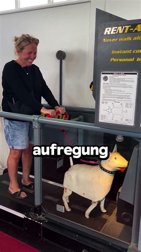 Why Is This Machine Making Fun Of Dog Owners?😳