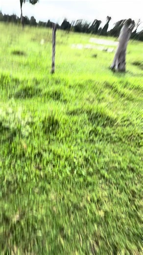 As doidices de Airton Neto na Fazenda