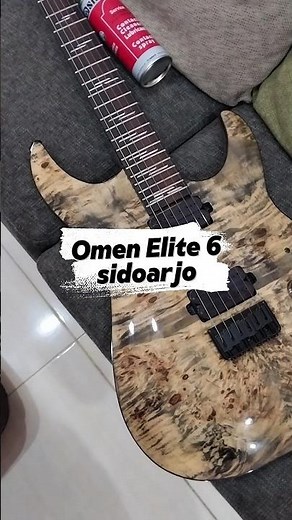 SCHECTER ELITE 6 OMEN | Packing