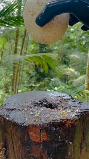 Exploring TikTok Trends in India