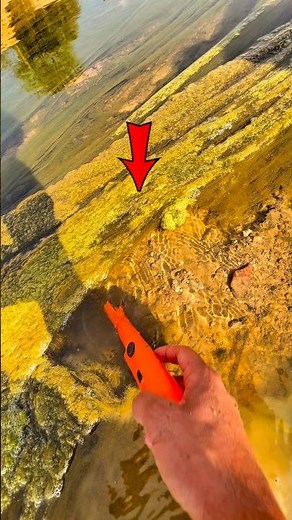 Best Pinpointer Metal Detector Found Gold In The River #pinpointermetaldetecor #foundgold #shorts