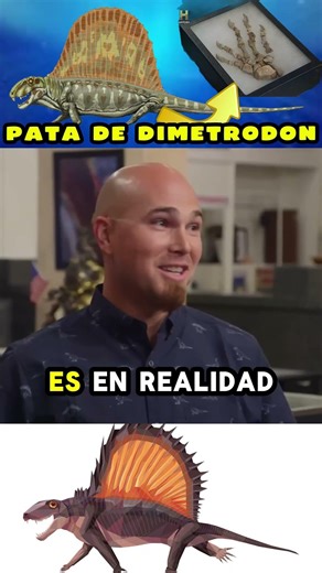 CHUM LEE QUIERE PATA DE DIMETRODON 🦎🤑🦴 #elpreciodelahistoria #PALEONTOLOGÍA #PREHISTORIA C1