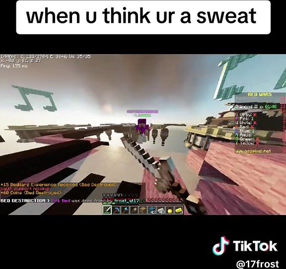 Califica el gameplay de Eaglercraft y Minecraft