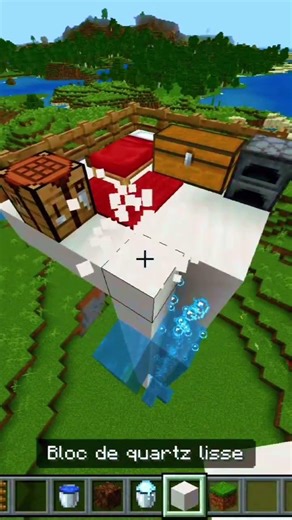 Minecraft Invisible Ladder💀(Matadora) #minecraft #shorts