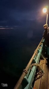 Mermaid caught on camera 😲😲😲 Is this real or just another ocean mystery? #MermaidSighting #OceanMystery #Unexplained #CaughtOnCamera #GuruAI | A Fidelis Production