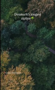 💪 Ready to challenge yourself in the Autumn holiday? Camp Adventure’s climbing park offers high ropes, fresh air, and serious fun. 12 courses await – from beginner to daredevil level. | Camp Adventure