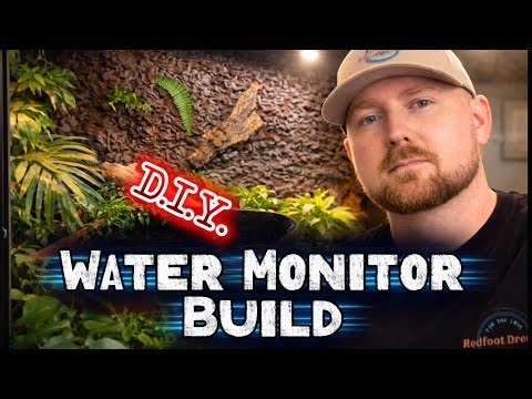 Water Monitor Enclosure Setup | From Plain to Pristine