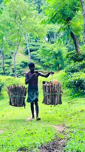 Ahhh, life… An old man, tired yet determined, carries firewood for cooking a silent story of struggle and survival. | Anisul Islam