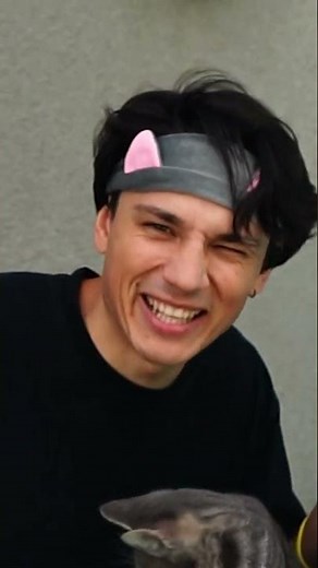 купил вкусняшки для котят