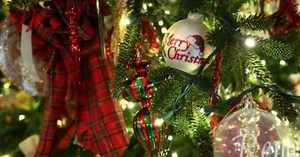 MAP: Where to buy real Christmas trees in PHX