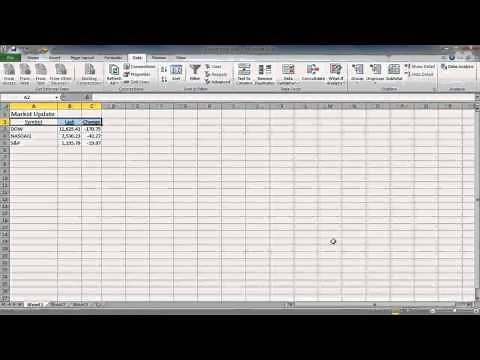 Excel 2010: Warrior Series: Getting External Data from Access, The Web, Text and Other Sources