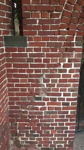 "Blessed are the curious for they shall have adventure...." | Island Jane Key West