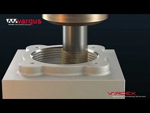 Vardex TM Standard Animation