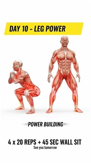 Leg power ।Matrix #fitnessshorts #dailyworkout #burnmatrix #legflexibility #legpower