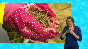 My Pet and Me S2 E8 Lambs - video Dailymotion