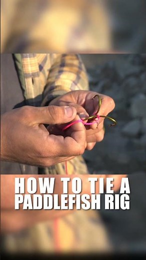 How to tie a Paddlefish Rig