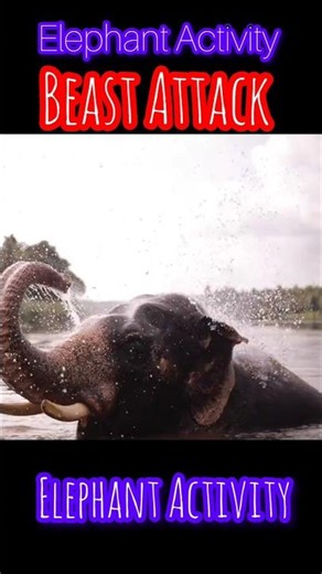 Elephant Forest Attack 🐘 | Wild Animal Hunting | Beast Attack Shorts