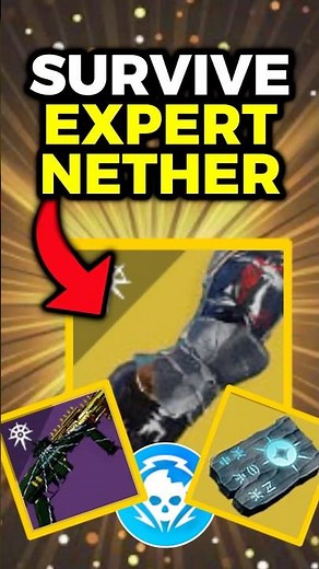 This Warlock Build SURVIVES Expert Nether