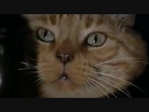 エイリアン＆エイリアン2 ジョンジー（猫）シーン集
