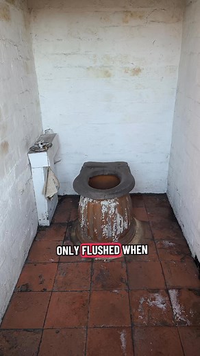No potty humour thanks 🪰🙈 This is the toilet used in the back to backs and through houses in the late 19th century. Think cholera and dysentery 💩🤢 Anyway, it was an improvement on previous options 😬 Pic from the Black Country Living Museum. #birminghamuk #historylovers #historyfacts #toilet #HistoricalTreasures | Sara Fox Author