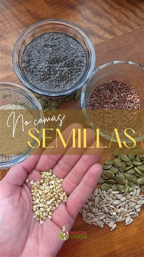 Nati Ovieczka | Mujer Medicina on Instagram: "Lo importante no es solo sumarlas a tu comida, sino cómo las usás: algunas se hidratan, otras se tuestan, otras se muelen o se brotan. 👉 Cada una tiene su magia: Chía → hidratada, libera gel digestivo, antiflamatorio Lino → recién molido, fitoestrógenos y aceites intactos Sésamo → tostado, antioxidantes y calcio Girasol → remojado, minerales biodisponibles Zapallo → remojafo, triptófano para descanso y regular el ánimo Sarraceno → remojafo y/o brota