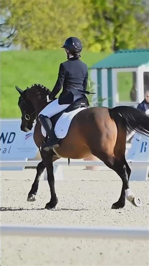 Chloé Autuori & Galant ✨ | As Poney Élite – Super As Dressage Jardy 2026