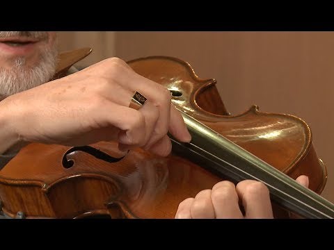 Viola Technique 101 - Lesson 6 : Playing Pizzicato