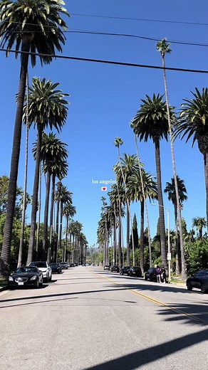 Explore the Vibrant Beauty of Los Angeles with a Memorable Trip | California Travel