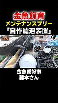 [DIY Filtration System] Mr. Fujimoto, the man creating miraculous goldfish on a vast plot of land...