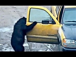 MAN AND BEAST - Part 37