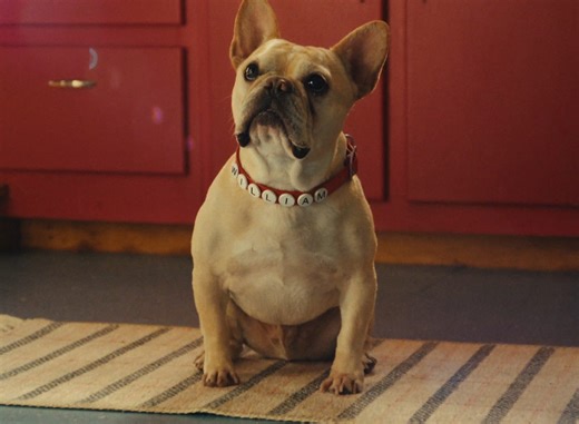 Ollie: Feed the Obsession • Ads of the World™ | Part of The Clio Network