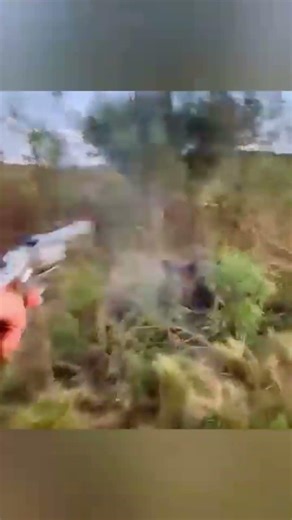 "Russian Wild Boar Hunt – Perfect Shot!