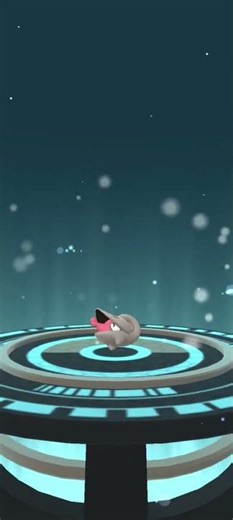 Dual Destiny Shelmet's Evolving! Pokemon Go Evolution Dual Destiny Accelgor